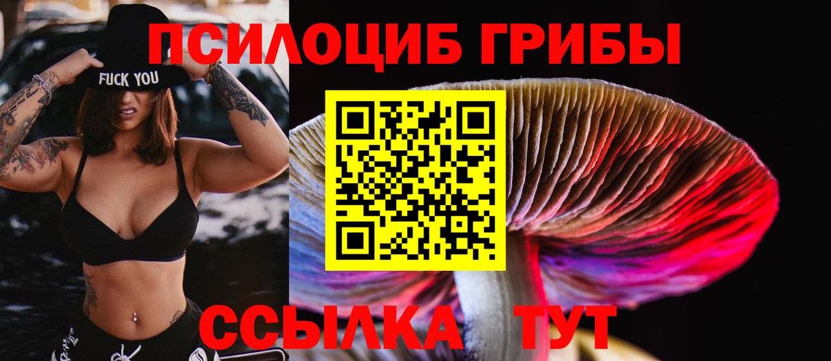 Новоуральск  Псилоцибиновые грибы Cubensis  Вход с VPN 